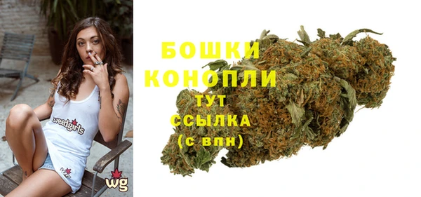 гидра Медвежьегорск