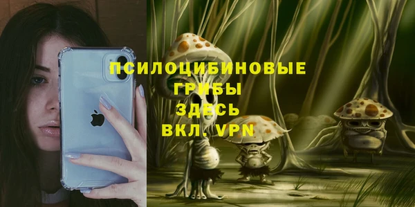 первитин Медногорск
