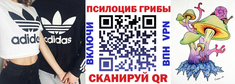 Галлюциногенные грибы Psilocybe  Таруса 